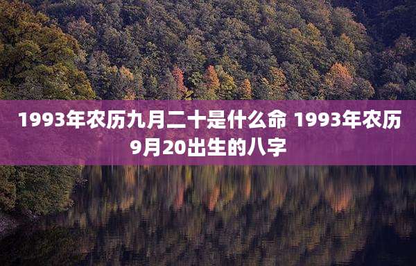 1993年农历九月二十是什么命 1993年农历9月20出生的八字