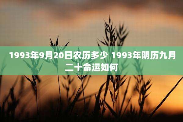 1993年9月20日农历多少 1993年阴历九月二十命运如何