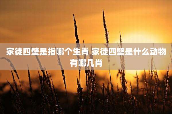 家徒四壁是指哪个生肖 家徒四壁是什么动物有哪几肖