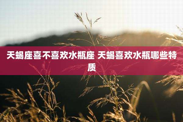 天蝎座喜不喜欢水瓶座 天蝎喜欢水瓶哪些特质