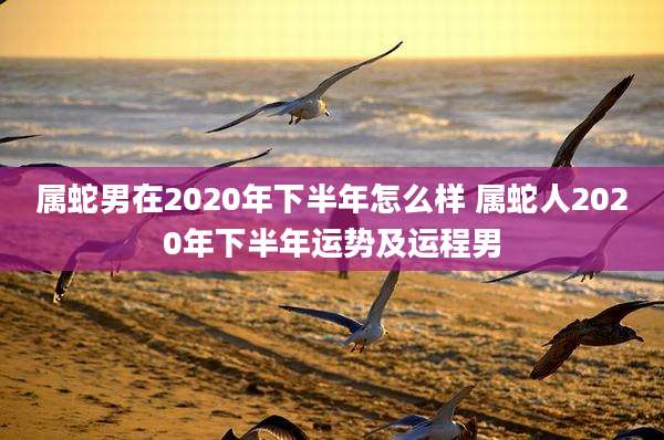 属蛇男在2020年下半年怎么样 属蛇人2020年下半年运势及运程男