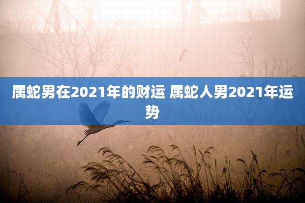 属蛇男在2021年的财运 属蛇人男2021年运势