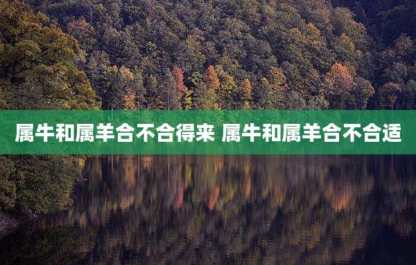属牛和属羊合不合得来 属牛和属羊合不合适