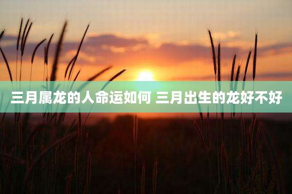 三月属龙的人命运如何 三月出生的龙好不好