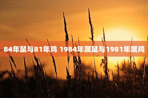 84年鼠与81年鸡 1984年属鼠与1981年属鸡