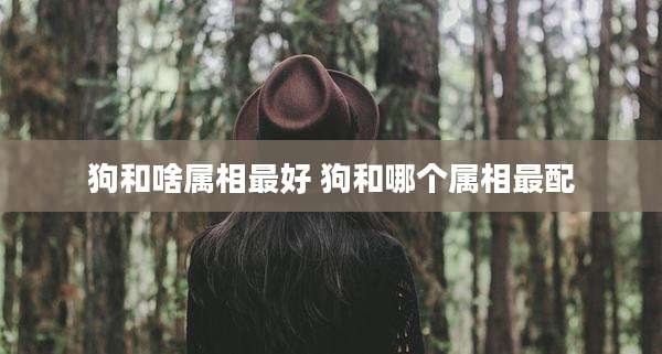 狗和啥属相最好 狗和哪个属相最配