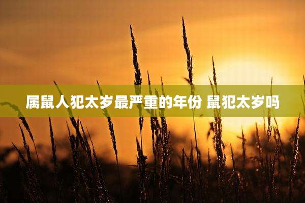 属鼠人犯太岁最严重的年份 鼠犯太岁吗