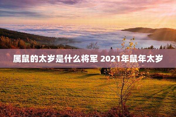 属鼠的太岁是什么将军 2021年鼠年太岁