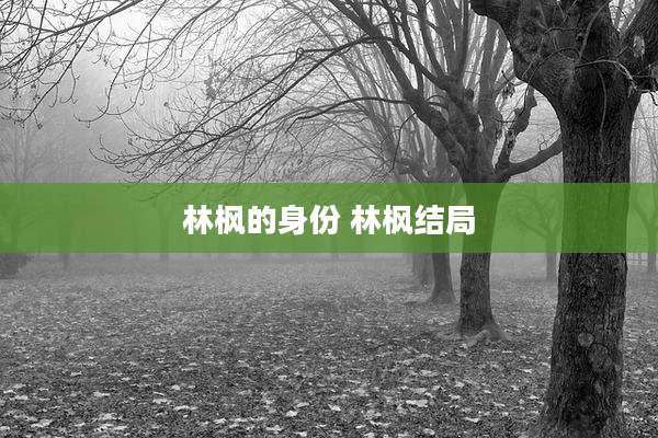 林枫的身份 林枫结局