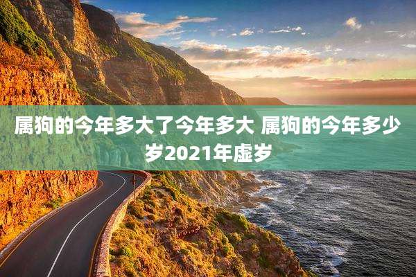 属狗的今年多大了今年多大 属狗的今年多少岁2021年虚岁