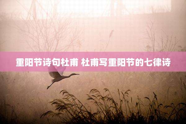 重阳节诗句杜甫 杜甫写重阳节的七律诗