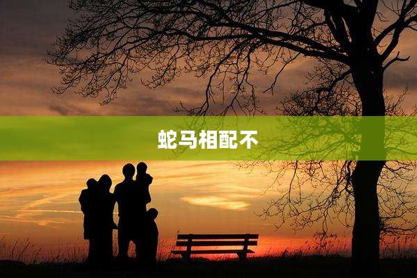 蛇马相配不