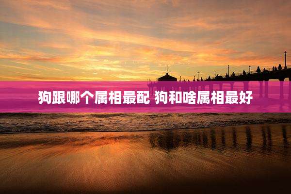狗跟哪个属相最配 狗和啥属相最好