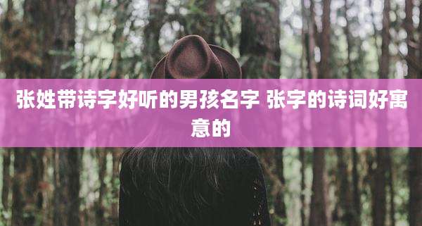 张姓带诗字好听的男孩名字 张字的诗词好寓意的
