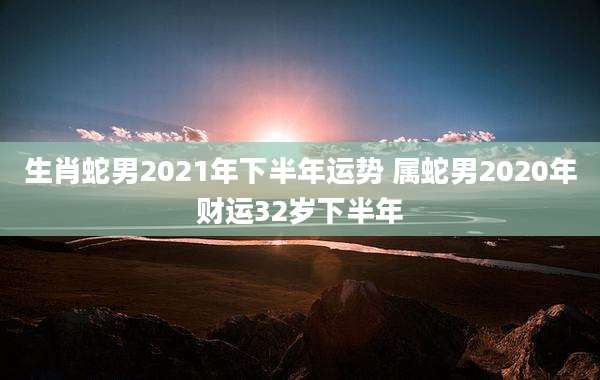 生肖蛇男2021年下半年运势 属蛇男2020年财运32岁下半年
