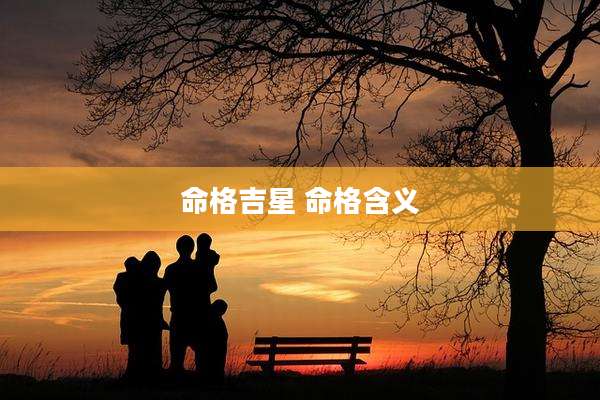 命格吉星 命格含义