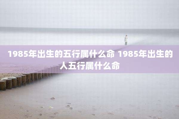 1985年出生的五行属什么命 1985年出生的人五行属什么命