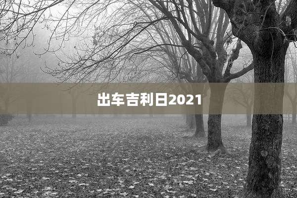 出车吉利日2021