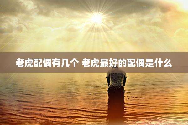 老虎配偶有几个 老虎最好的配偶是什么
