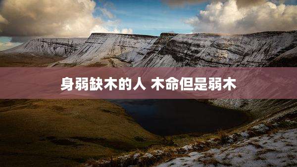 身弱缺木的人 木命但是弱木