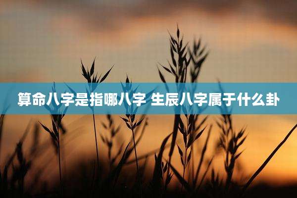 算命八字是指哪八字 生辰八字属于什么卦