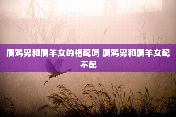 属鸡男和属羊女的相配吗 属鸡男和属羊女配不配