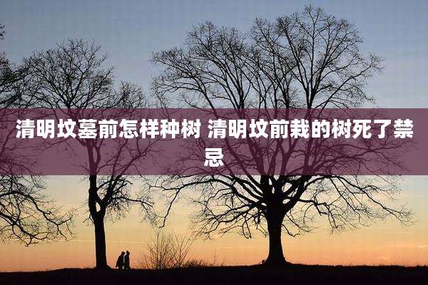 清明坟墓前怎样种树 清明坟前栽的树死了禁忌