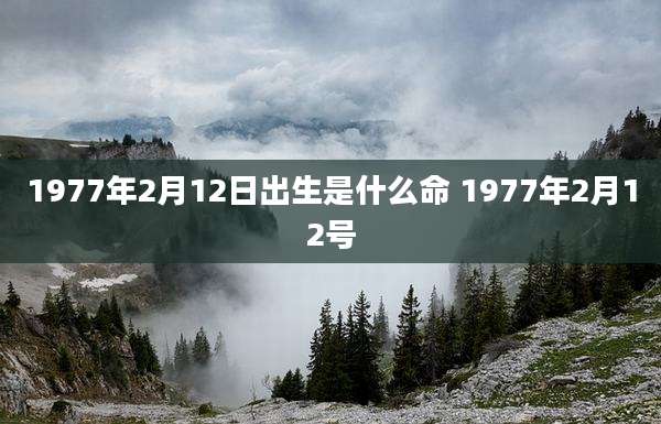 1977年2月12日出生是什么命 1977年2月12号