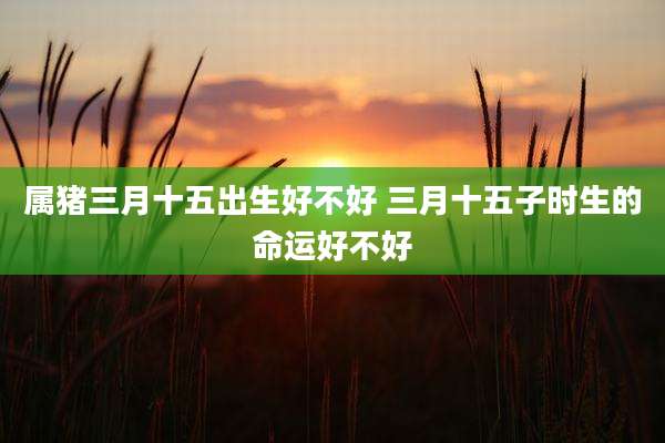 属猪三月十五出生好不好 三月十五子时生的命运好不好