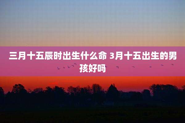 三月十五辰时出生什么命 3月十五出生的男孩好吗