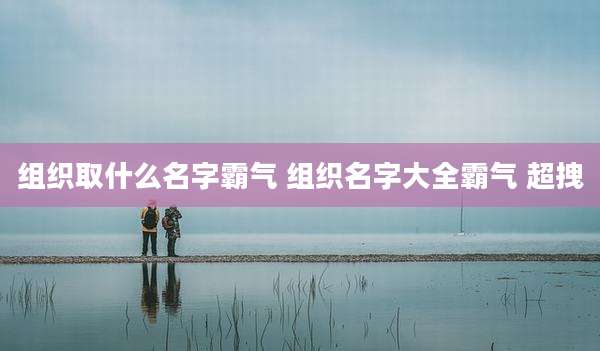 组织取什么名字霸气 组织名字大全霸气 超拽