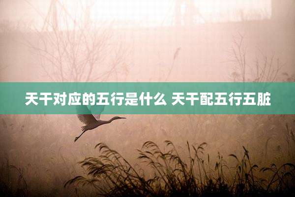 天干对应的五行是什么 天干配五行五脏