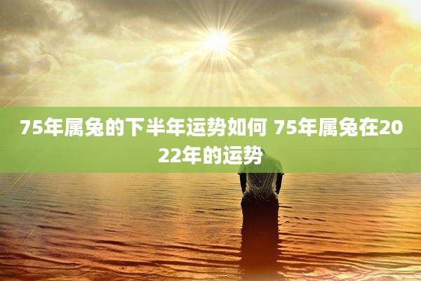 75年属兔的下半年运势如何 75年属兔在2022年的运势