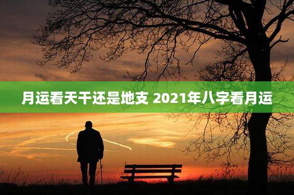 月运看天干还是地支 2021年八字看月运