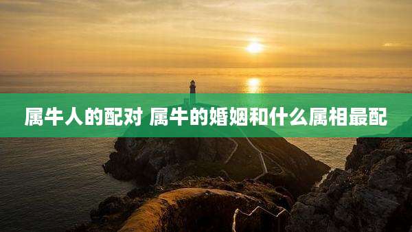 属牛人的配对 属牛的婚姻和什么属相最配