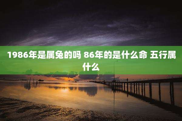 1986年是属兔的吗 86年的是什么命 五行属什么
