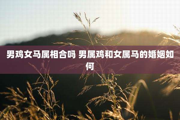 男鸡女马属相合吗 男属鸡和女属马的婚姻如何