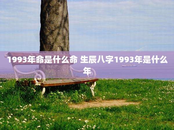 1993年命是什么命 生辰八字1993年是什么年