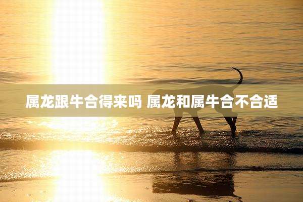 属龙跟牛合得来吗 属龙和属牛合不合适