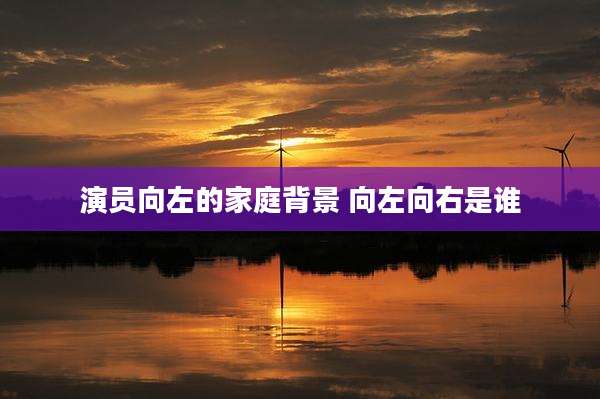 演员向左的家庭背景 向左向右是谁