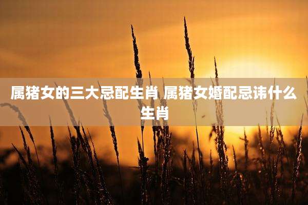 属猪女的三大忌配生肖 属猪女婚配忌讳什么生肖