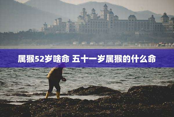 属猴52岁啥命 五十一岁属猴的什么命