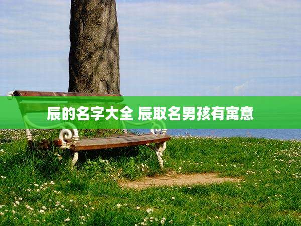 辰的名字大全 辰取名男孩有寓意