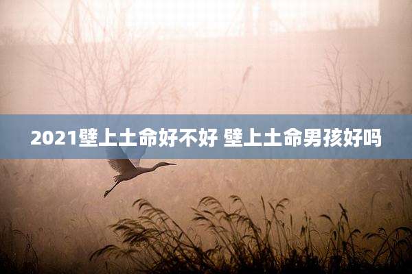 2021壁上土命好不好 壁上土命男孩好吗