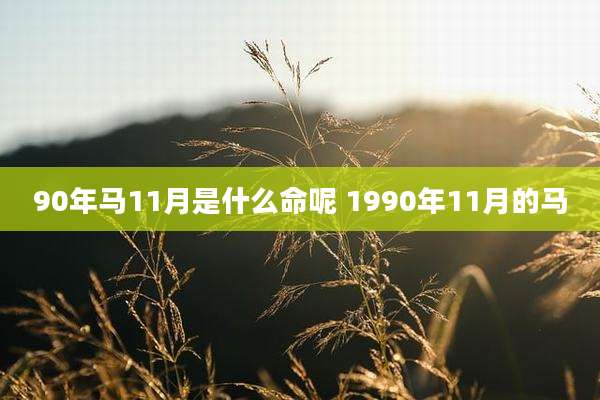 90年马11月是什么命呢 1990年11月的马