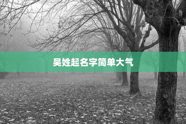 吴姓起名字简单大气
