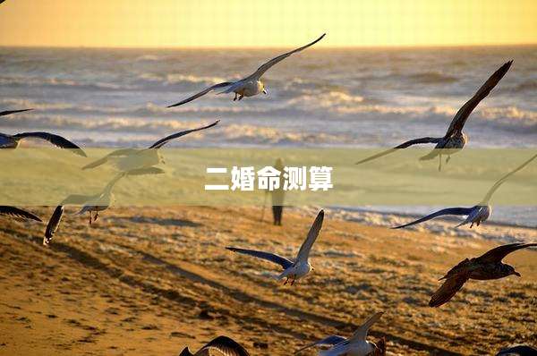 二婚命测算