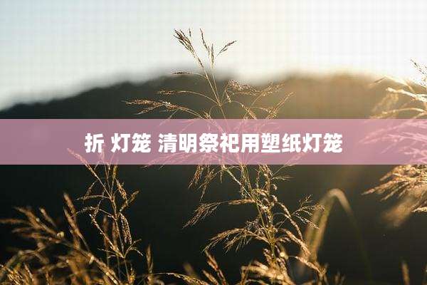 折 灯笼 清明祭祀用塑纸灯笼