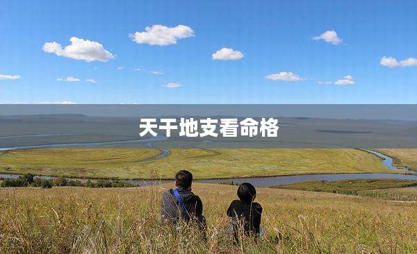 天干地支看命格
