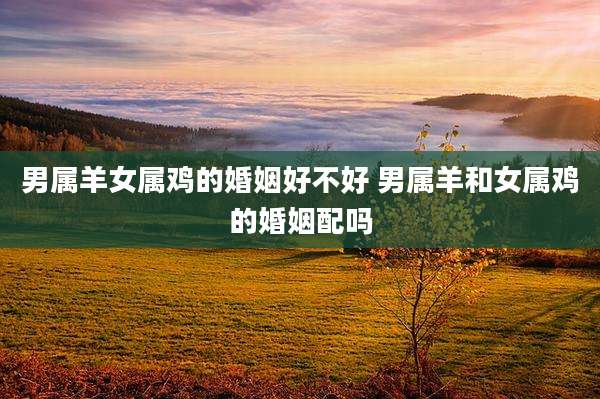 男属羊女属鸡的婚姻好不好 男属羊和女属鸡的婚姻配吗
